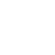 Logo for Georg Fischer AG
