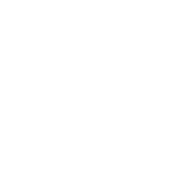 Logo for DCM Shriram Limited