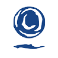 Logo for Cordiant Digital Infrastructure Limited