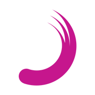 Logo for Planisware SAS