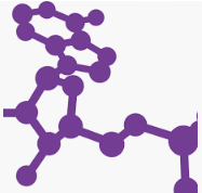 Logo for Sprint Bioscience
