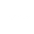 Logo for Immsi