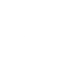 Logo for The Platform Group AG