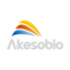 Logotype for Akeso