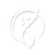 Logo for INmune Bio Inc