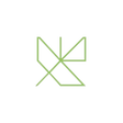 Logo for NAXS