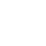 Logo for Brave Bison Group PLC
