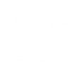 Logo for Shin-Etsu Chemical