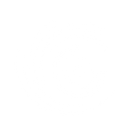 Logo for Plurilock Security Inc