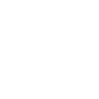 Logo for Willis Lease Finance Corporation