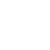 Logo for Forza X1 Inc