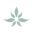 Logo for The Cannabist Company Holdings Inc