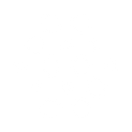 Logo for Solar Foods Oyj