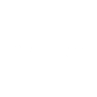 Logo for Evolv Technologies Holdings Inc