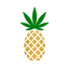 Logotype for Pineapple Express Cannabis Company