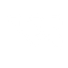 Logotype for Western Digital Corporation