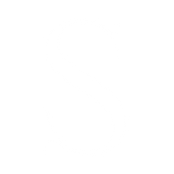 Logo for Seaport Entertainment Group Inc