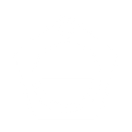 Logo for Platinum Asset Management Limited