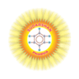 Logo for Sudarshan Pharma Industries