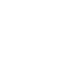 Logo for Faraday Future Intelligent Electric Inc