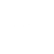 Logo for Sulzer Ltd