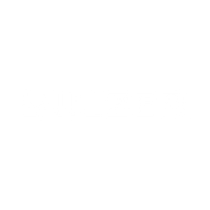 Logo for Sulzer Ltd