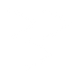 Logo for Skillsoft Corp