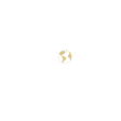 Logo for Seaboard