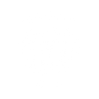 Logo for The Shipping Corporation of India
