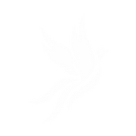 Logo for Phoenix Spree Deutschland Limited 