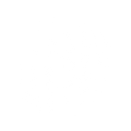 Logo for NanoEcho