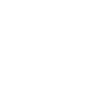 Logo for WiseTech Global Limited