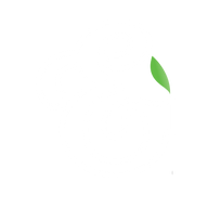Logo for T&G Global Limited