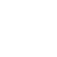 Logo for Dragonfly Energy Holdings Corp