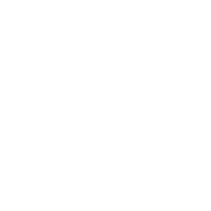 Logo for Dragonfly Energy Holdings Corp