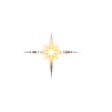 Logo for Star Vault