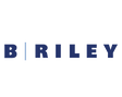 Logo for B Riley Financial Inc