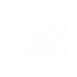 Logo for Kraken Robotics Inc