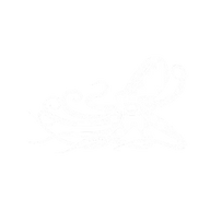 Logo for Kraken Robotics Inc