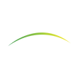 Logo for Piedmont Lithium Inc
