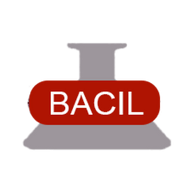 Logo for Bacil Pharma Limited
