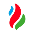 Logo for Petkim Petrokimya Holding Anonim Sirketi