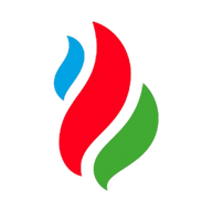 Logo for Petkim Petrokimya Holding Anonim Sirketi