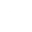 Logo for Stardust Power Inc