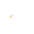 Logo for Caixa Seguridade Participações SA