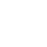 Logotype for Micropolis Holding Company