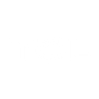 Logo for TCL Electronics Holdings Limited