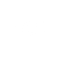 Logo for TCL Electronics Holdings Limited