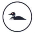 Logo for Johnson Outdoors Inc