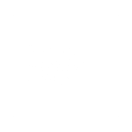Logo for Digital Brands Group Inc